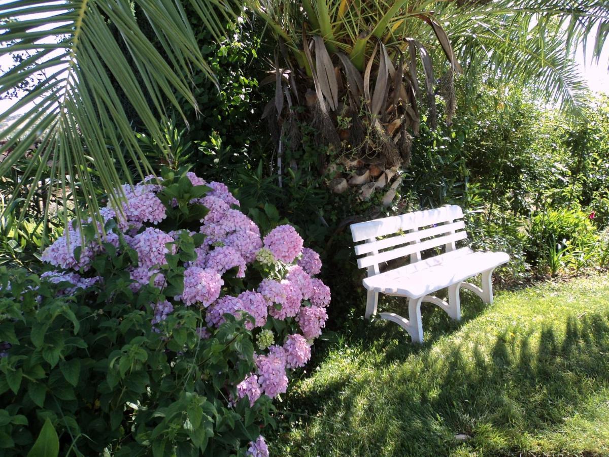 Inviting Holiday Home In Montemor O Novo With Pool Kültér fotó