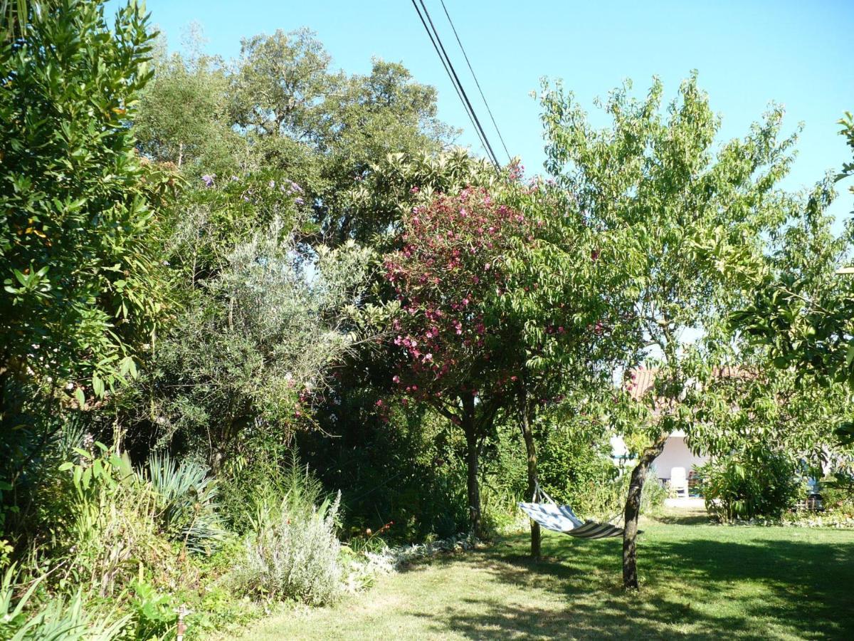 Inviting Holiday Home In Montemor O Novo With Pool Kültér fotó