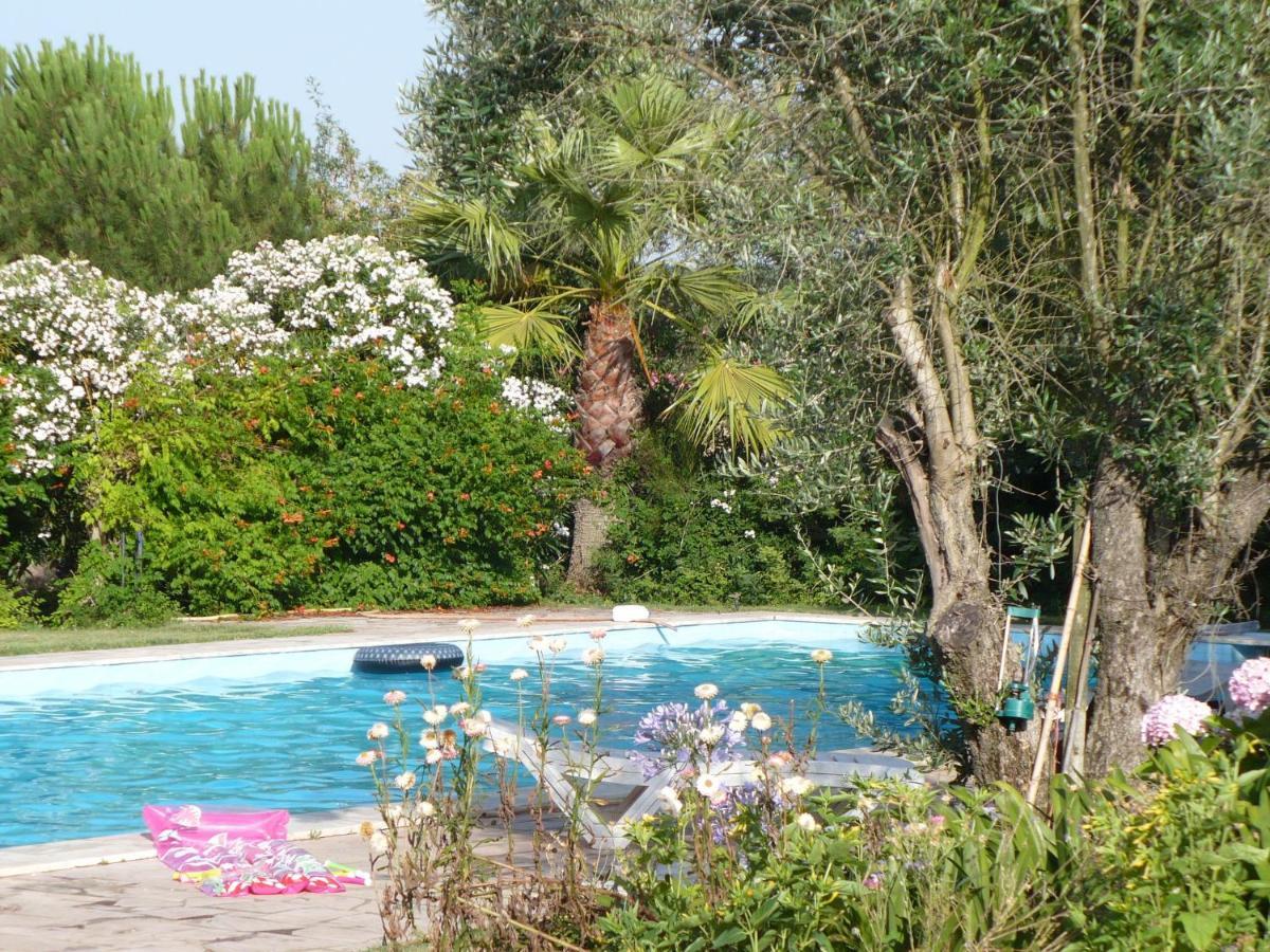Inviting Holiday Home In Montemor O Novo With Pool Kültér fotó